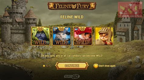 Feline Fury Review 2024